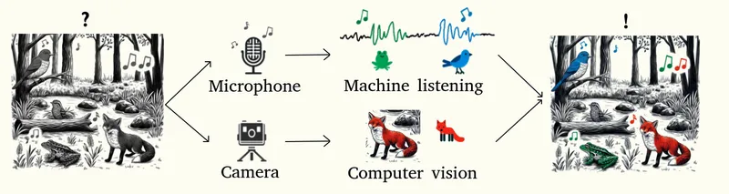 Automated analysis of acoustic and visual sensor data using machine learning.